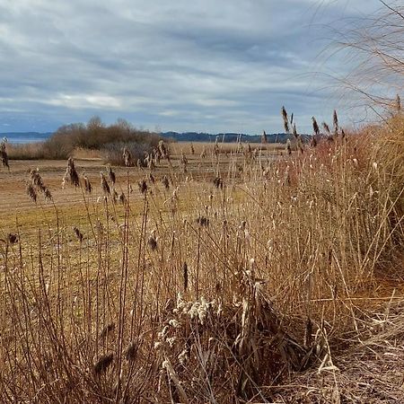 Marxhof Seebruck Am Chiemsee Seeon-Seebruck Ngoại thất bức ảnh