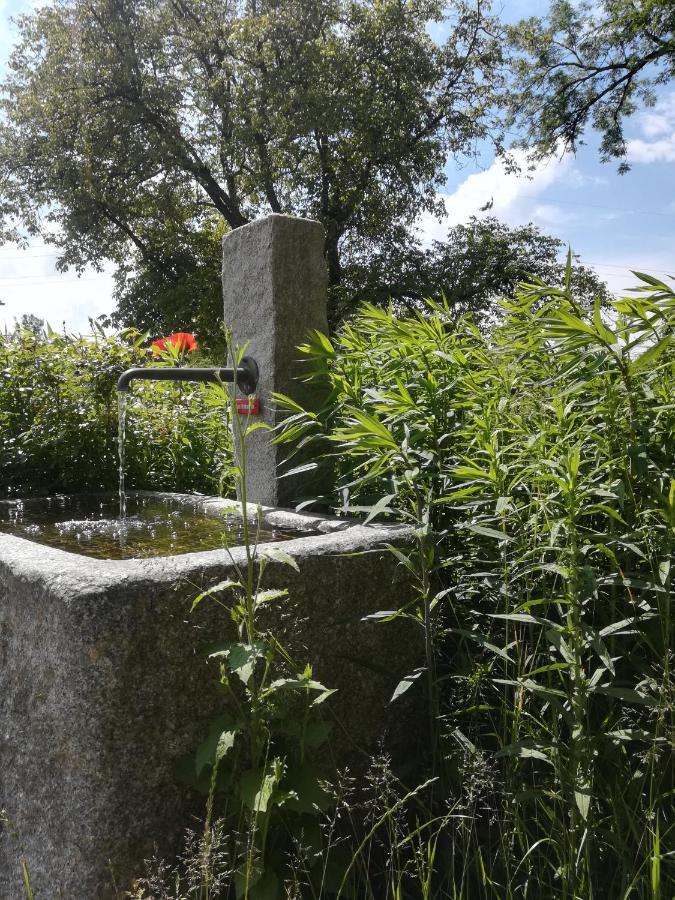 Marxhof Seebruck Am Chiemsee Seeon-Seebruck Ngoại thất bức ảnh