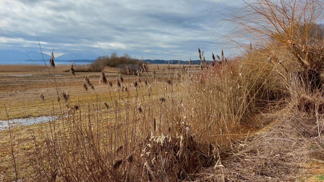 Marxhof Seebruck Am Chiemsee Seeon-Seebruck Ngoại thất bức ảnh